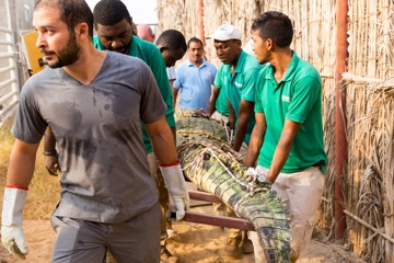 حديقة الإمارات للحيوانات