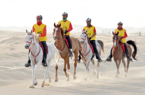 سباقات ركوب القدرة والتحمل 2019