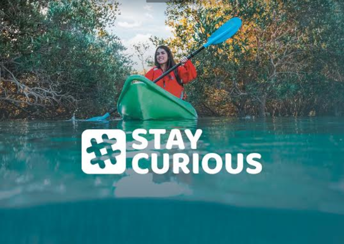 StayCurious 