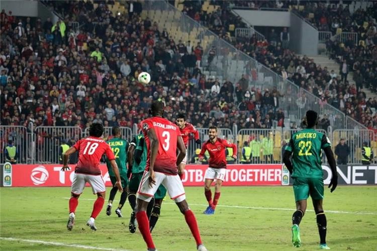 الأهلي وفيتا