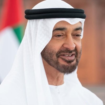 محمد بن زايد