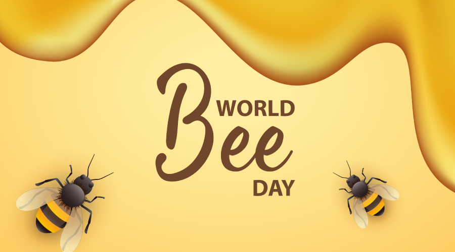  World Bee Day