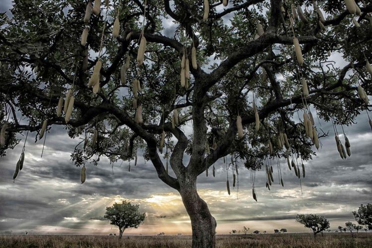 Cloudy sky at dusk in Congo