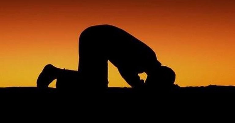 Sajda