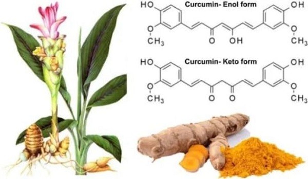 Turmeric