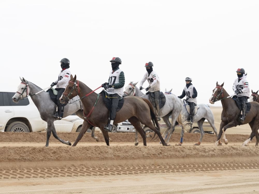 UAE President's Endurance Cup