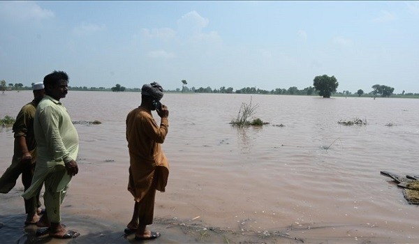 Pakistan wildlife reels under deadly floods