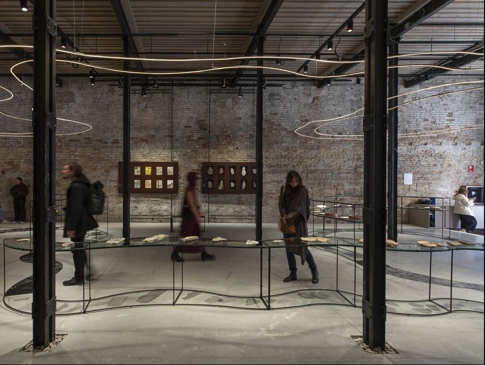 Curator and Associate Head of Exhibitions