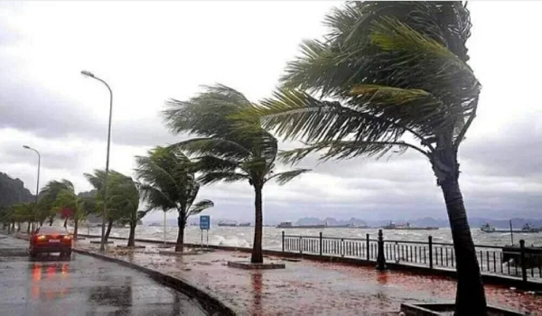 الطقس البارد ونزول الأمطار