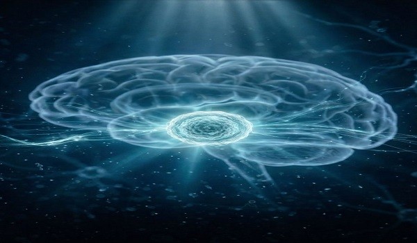 خلايا جذعية دماغية