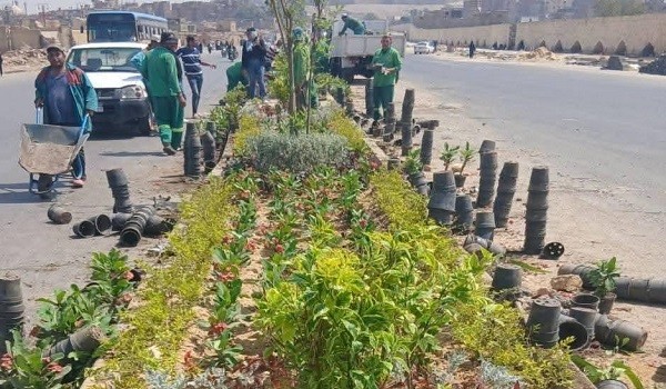  زراعة وتوريد وتشجير