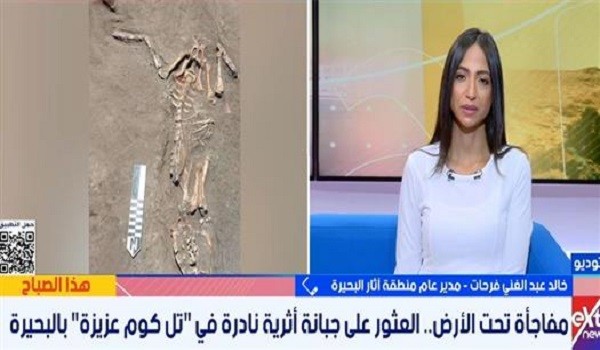 الكشف عن دفنة نادرة لخنزير وتنوع فريد لطقوس الدفن في تل كوم عزيزة بالبحيرة