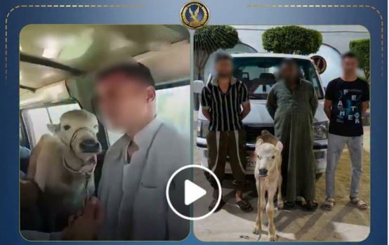 ضبط المزارعان 