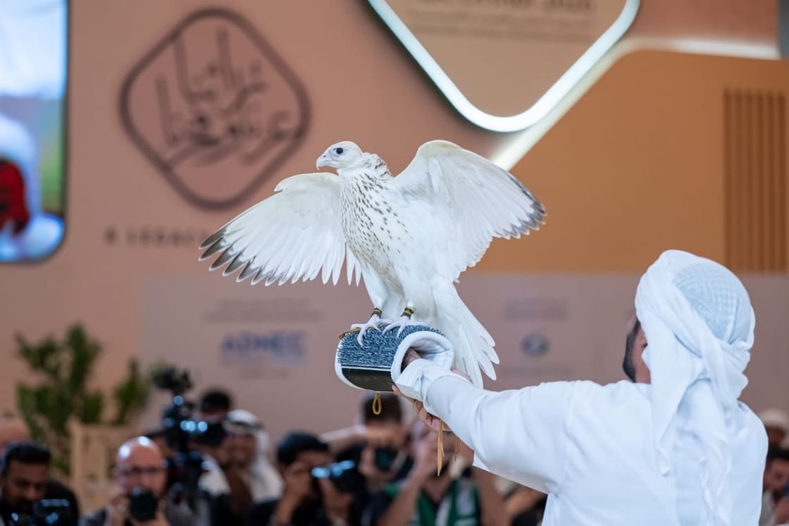 الصقر