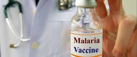 Malaria Vaccine