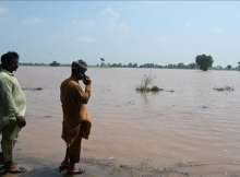 Pakistan wildlife reels under deadly floods