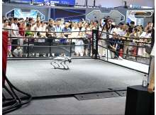 China's Global Digital Trade Expo