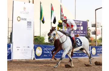 Purebred Arabian Horses