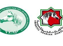 جمعية الأمارات للخيول العربية