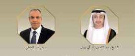 وزير الخارجية الإماراتي ونظيره المصري