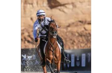 التقاط الأوتاد بالوثبة