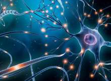 تطوير تقنية تدعم علاجات أمراض الدماغ