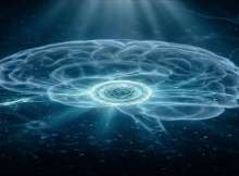 خلايا جذعية دماغية