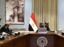 مجلس الوزراء المصري