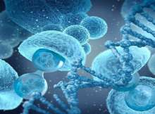 تطوير علاجات مبتكرة لأمراض الدم والسرطان