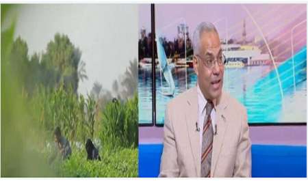 أستاذ مناخ: الموجة الحارة الحالية تهدد المحاصيل والإنتاج الحيواني بسبب ارتفاع الإشعاع الشمسي