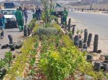  زراعة وتوريد وتشجير