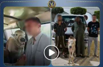 ضبط المزارعان 