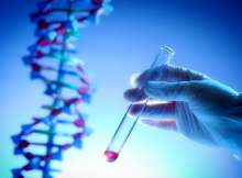 DNA 