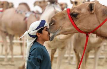 مهرجان الظفرة التراثى 