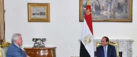 الرئيس المصري  يستقبل رئيس شركة 