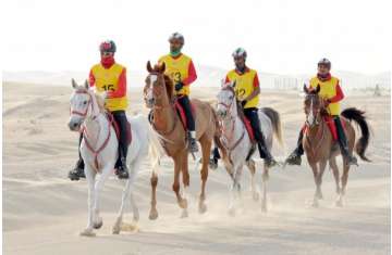 سباقات ركوب القدرة والتحمل 2019