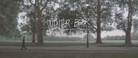 Winter Bear