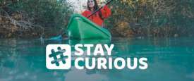 StayCurious 