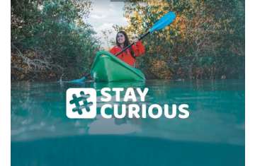 StayCurious 