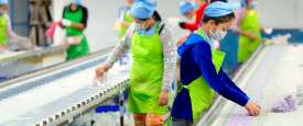 Factory workers in an assembly line in Cambodia