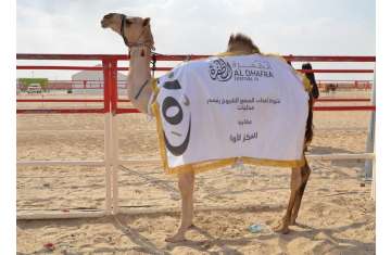 Al Dhafra Festival 14th edition