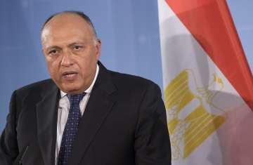 وزير الخارجية المصرية