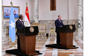 السيسي وحسن شيخ