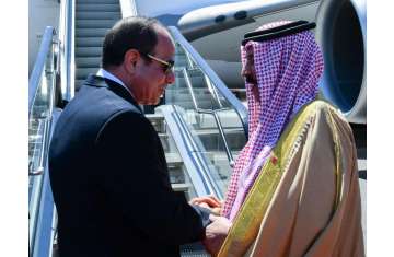 حمد والسيسي