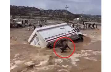 انقاذ وسط السيول
