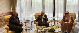 اجتماع وزيرا الخارجية وأمين الجامعة العربية