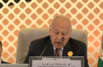 أحمد أبو الغيط