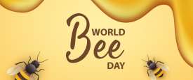  World Bee Day