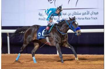 Cup World Series for Purebred Arabian Horses