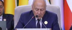 الأمين العام لجامعة الدول العربية